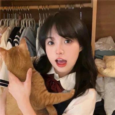 治愈系猫奴必看《猫咪后院》真人版：作家躲进乡下，被一群流浪猫治愈的慢生活